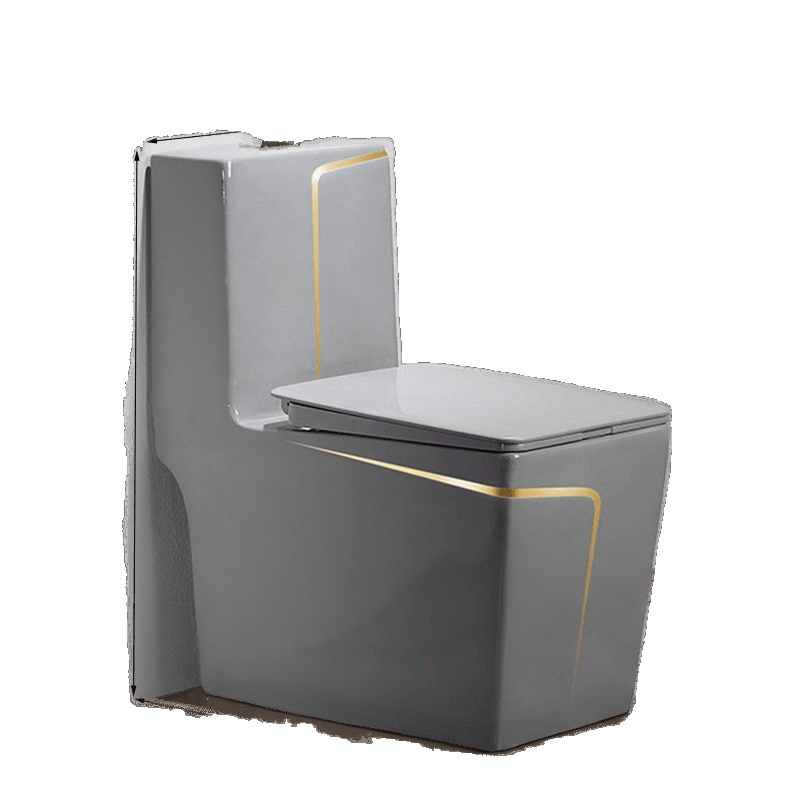 The toilet is a grey household water pump ceramic with a colorful siphonic anti-odor type. It is a high-flush toilet seat and toilet bowl Item Picture