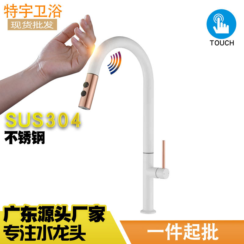 Factory direct batch 304 stainless steel European and American style black and white brushed gold exquisite touch kitchen pull-out faucet details Picture