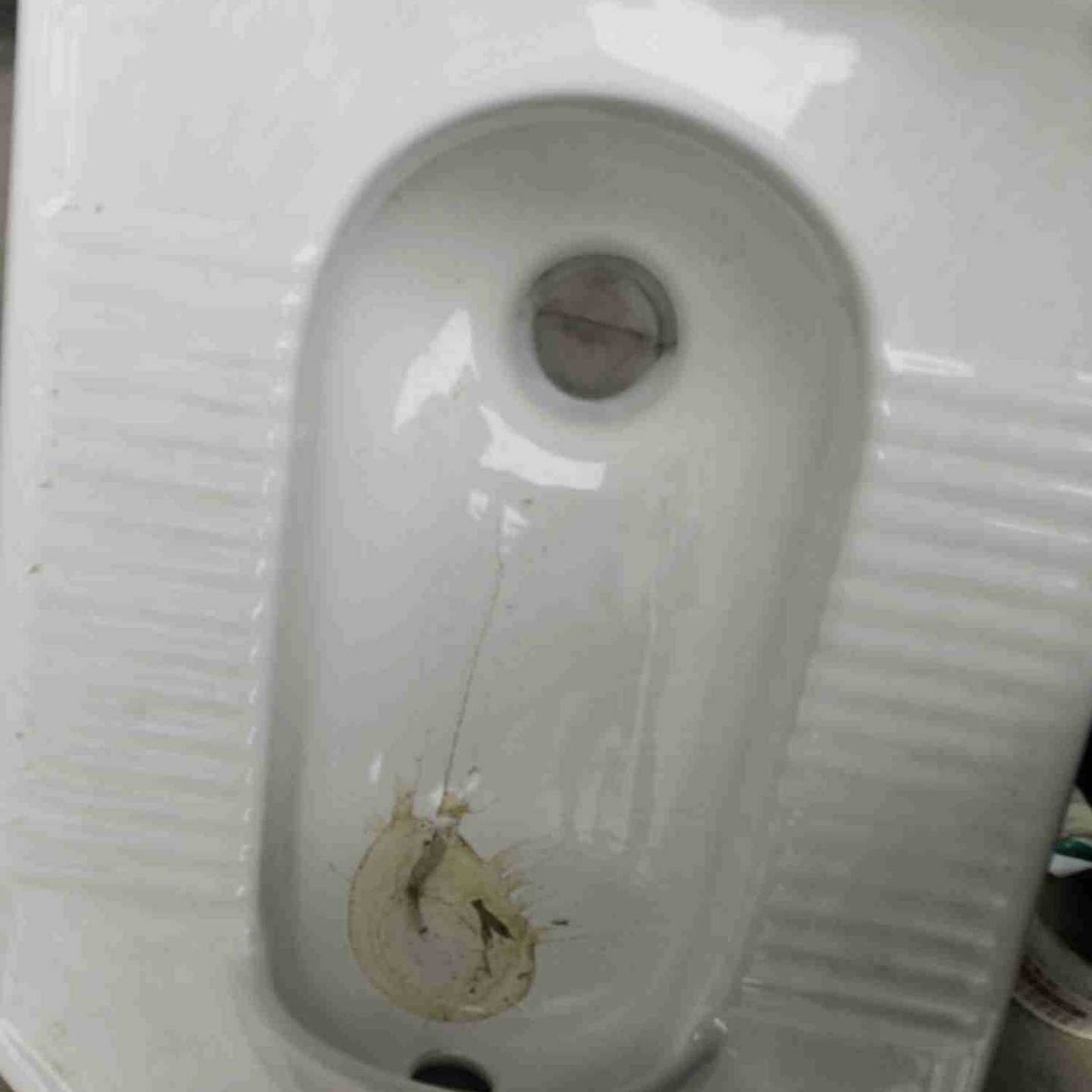 Dry toilet renovation, squat toilet, anti-odor device, odor plug, silicone plug head Specification drawing