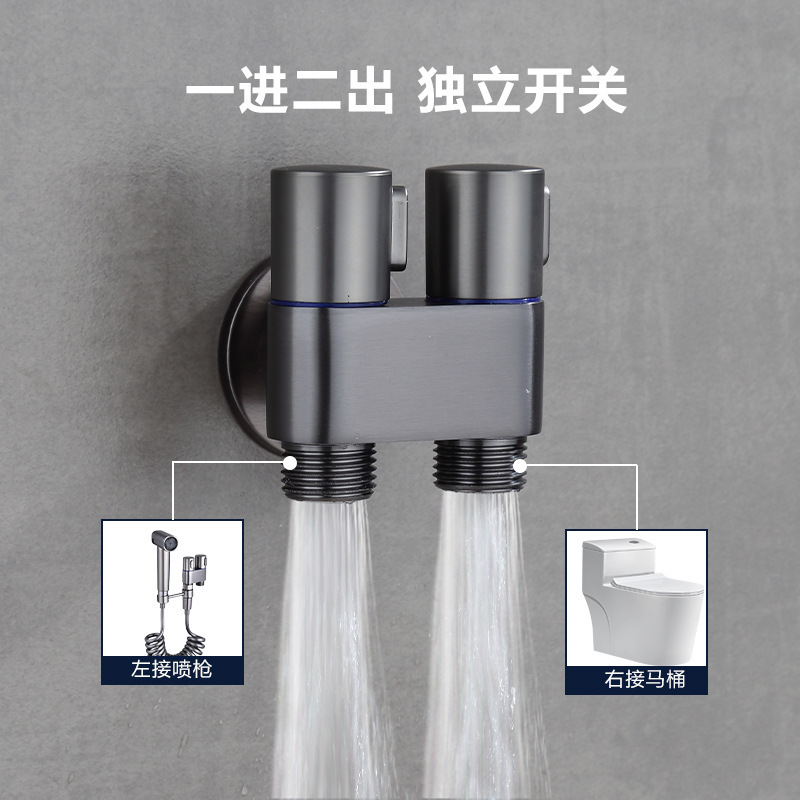 Cross-border stainless steel telescope, toilet companion, women's washer, farting washer, household bathroom spray gun, one in and two out Application Scenario