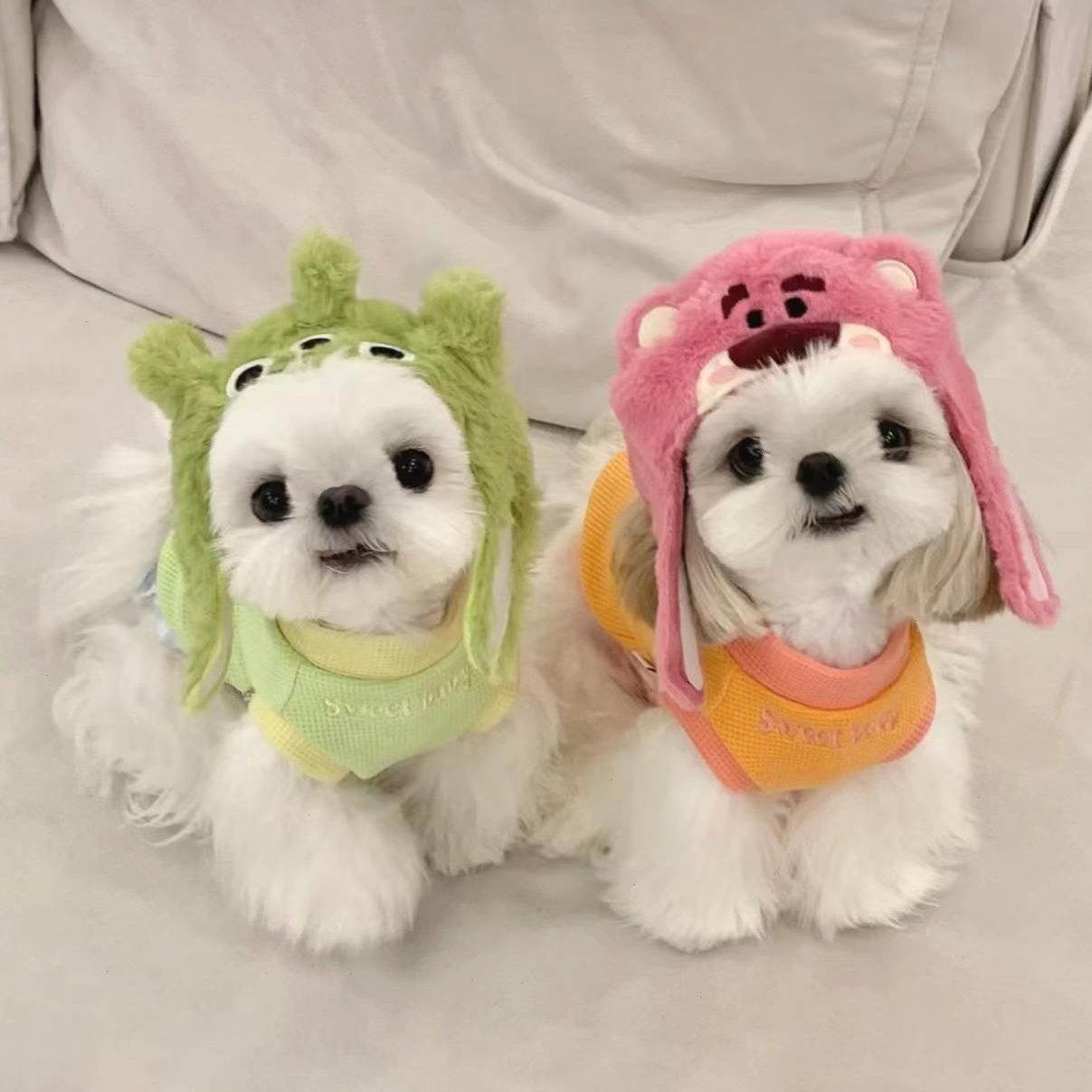 The same style as the counter, 1:1 three-eyed strawberry bear plush pet cat hat, headgear, doll headwear, decoration and photo details Picture