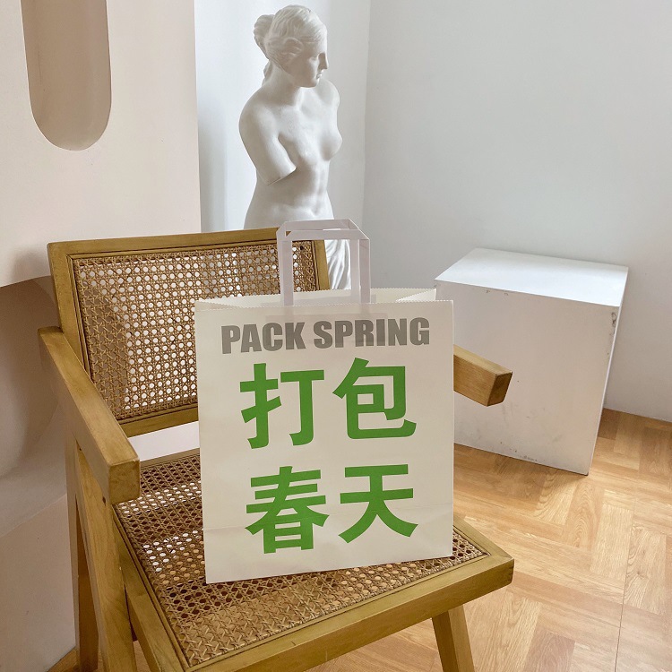The same style spring gift bag as Xiaohongshu, InS-style birthday and Valentine's Day gift bag, cute packaging bag on the handbag Application Scenario
