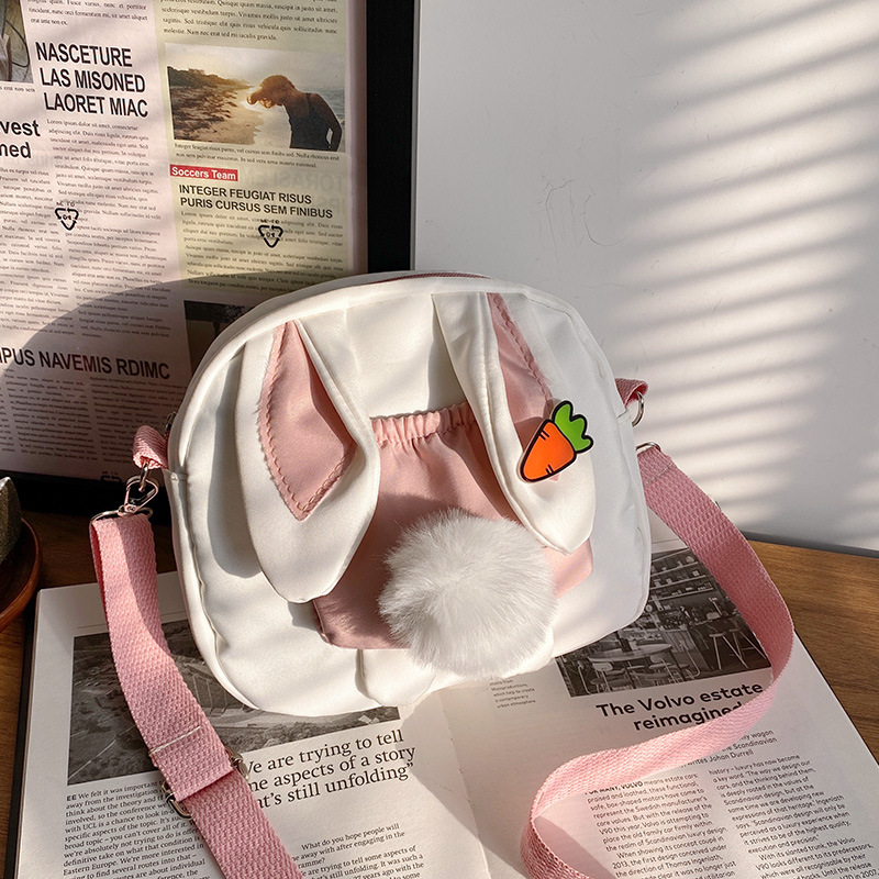 Cute rabbit canvas bag for women's crossbody 2024 new trendy ins Japanese style fresh and cute student shoulder bag Application Scenario