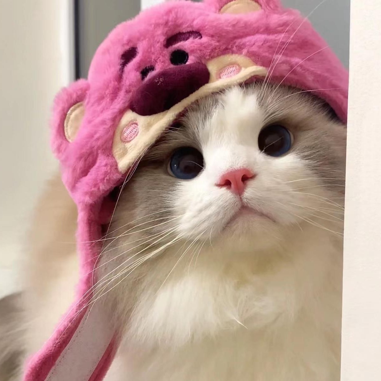 The same style as the counter, 1:1 three-eyed strawberry bear plush pet cat hat, headgear, doll headwear, decoration and photo Item Picture