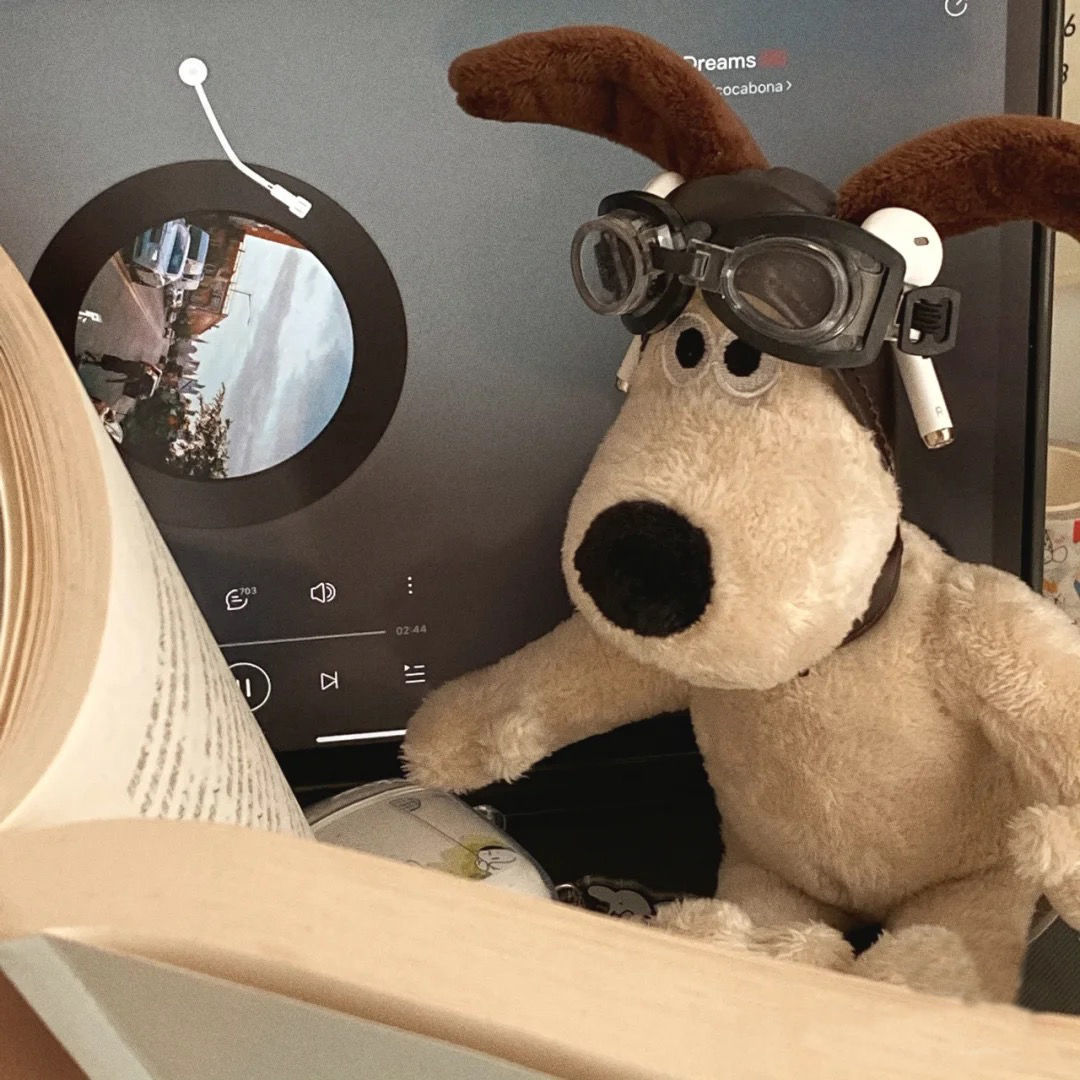 ins Boss Dog plush doll with glasses, toy figurine, stress-relieving toy, creative couple birthday gift Specification drawing