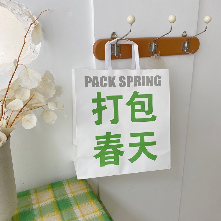The same style spring gift bag as Xiaohongshu, InS-style birthday and Valentine's Day gift bag, cute packaging bag on the handbag details Picture