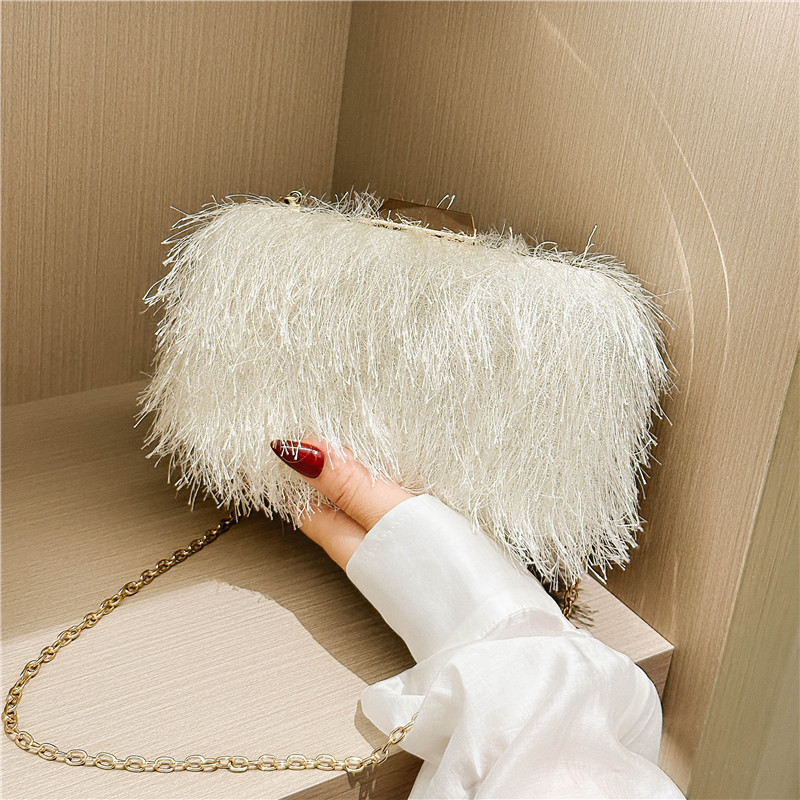 2025 New cross-border elegant dinner bag, single-shoulder hand-held lady's bag, acrylic bag, socialite style makeup box bag Application Scenario