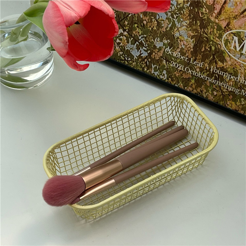 Ins-style desk wire storage basket for miscellaneous items, student office stationery storage box, desktop ironwork organization and storage Application Scenario