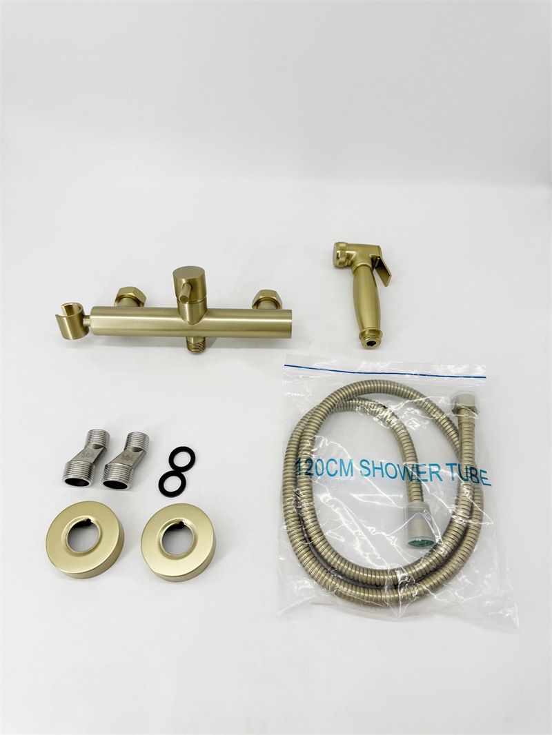 Kaiping Youjia Sanitary Ware Bathtub Hot and Cold Faucet Toilet Hot and Cold Companion Toilet Hot and Cold Spray Gun Floor Washer 5743 Application Scenario