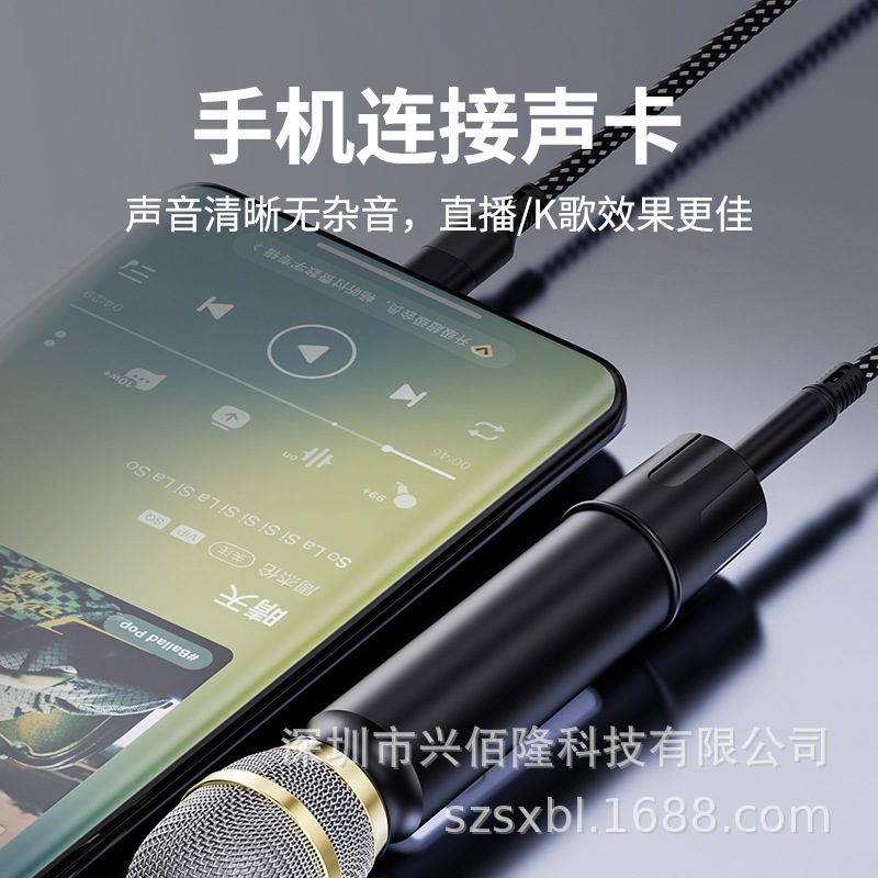 Applicable to Type-c to 3.5 car AUX speaker live karaoke card microphone audio system mobile phone recording cable Application Scenario