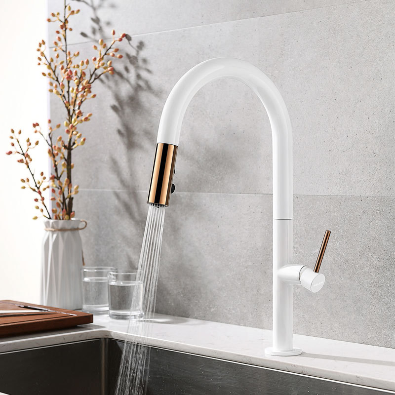 Cross-border Nordic all-copper kitchen pull-out faucet, hot and cold sink, washing basin, black export washbasin faucet details Picture