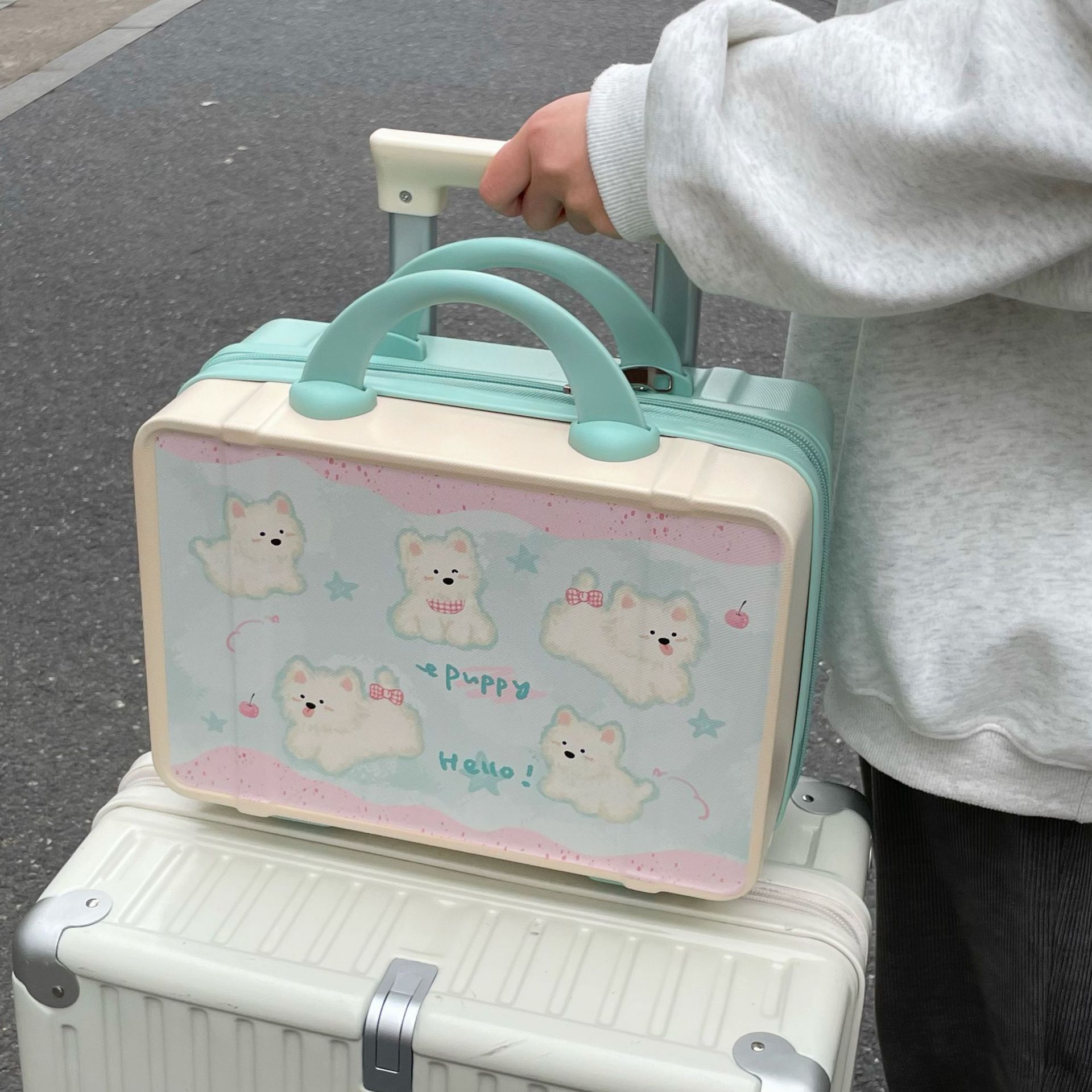 Cute cartoon makeup case, female business trip hand-held travel case, large-capacity storage bag, lightweight and small mini suitcase Specification drawing
