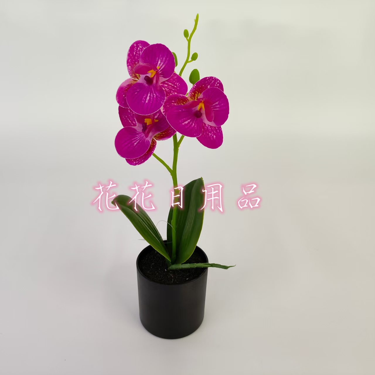 Artificial flowers, fake flowers, bonsai, plastic POTS, Phalaenopsis orchid ornaments and decorative items Application Scenario