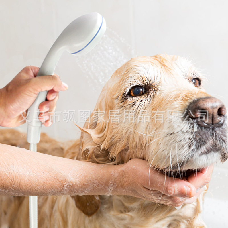 Cross-border outdoor showerhead portable shower pump camping Shower details Picture
