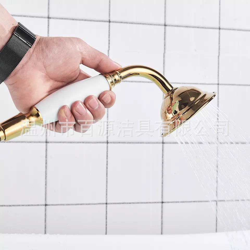 Stainless steel European rose gold hand-held showerhead, antique black antique shower head, small hand-held showerhead details Picture