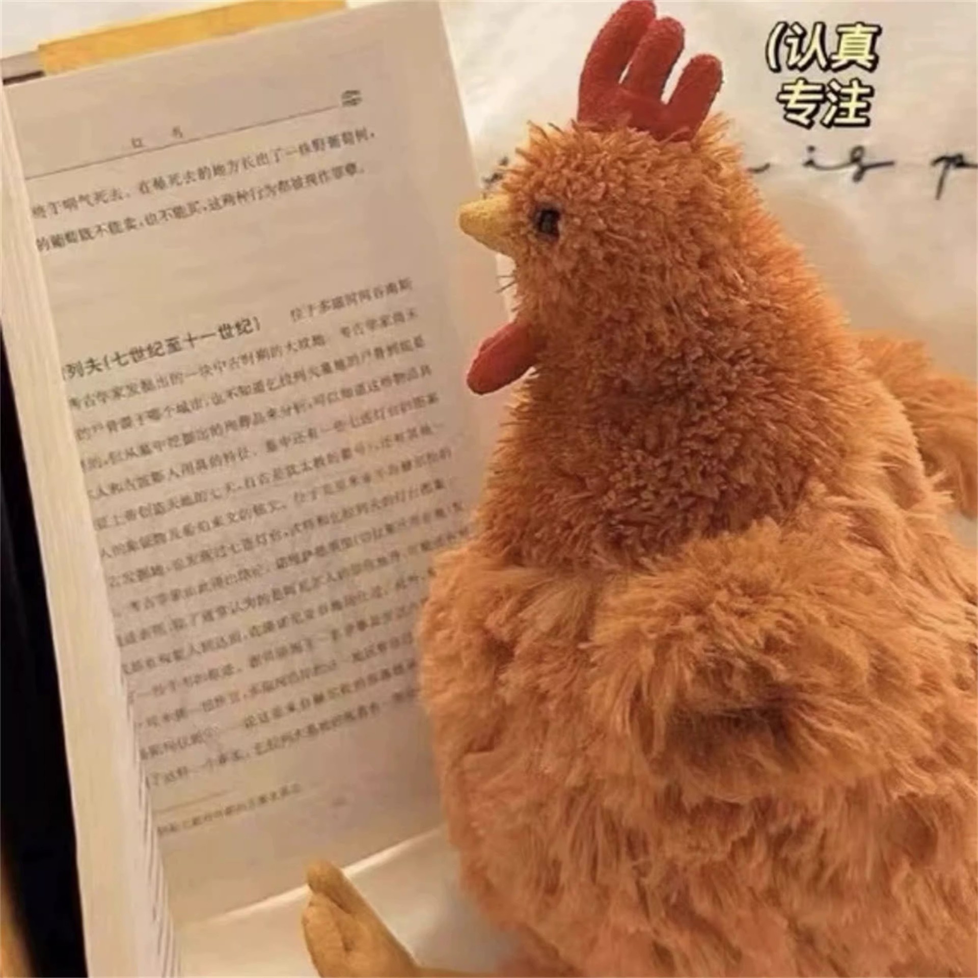 Creative Cecil Chicken plush toy, Clooney Rooster girl soothing doll, doll, sleeping pillow details Picture