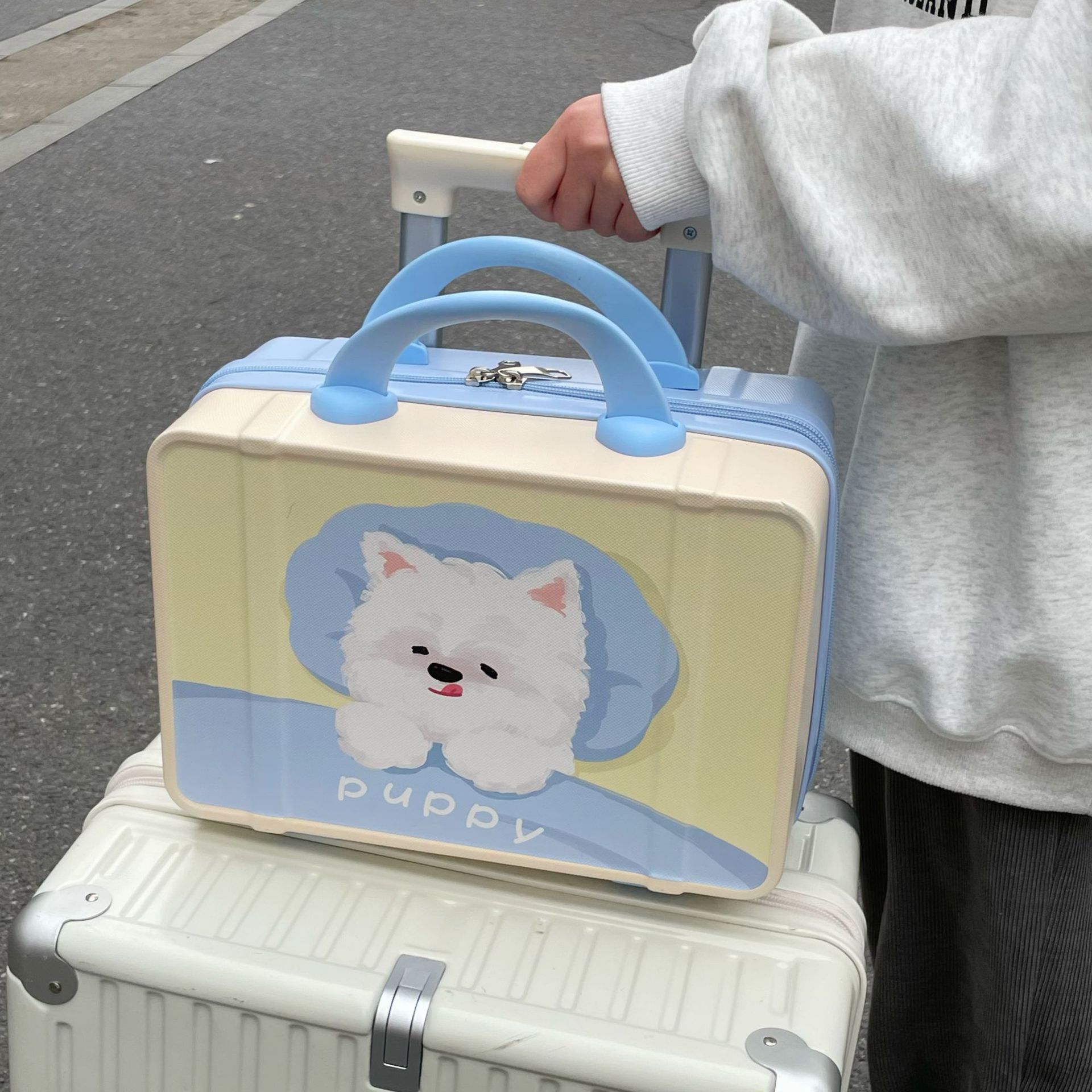 Cartoon carry-on suitcase, makeup bag, women's storage travel case, 14-inch mini collapsible handle, company gift customization full figure