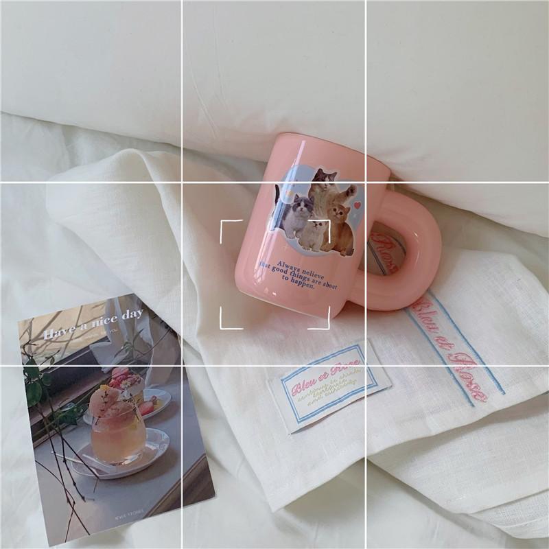 High appearance level, chubby handle ceramic cups, cute cat mugs, niche and girlish coffee cups and water cups, gift box set details Picture