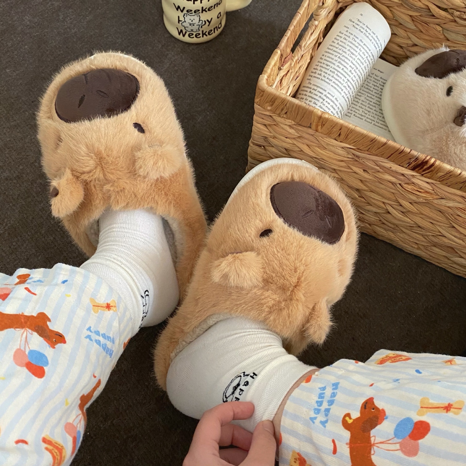 Kapibala couple Cotton Slippers for Women 2024 Autumn/Winter New Indoor Home cartoon plush cotton shoes, fluffy slippers details Picture