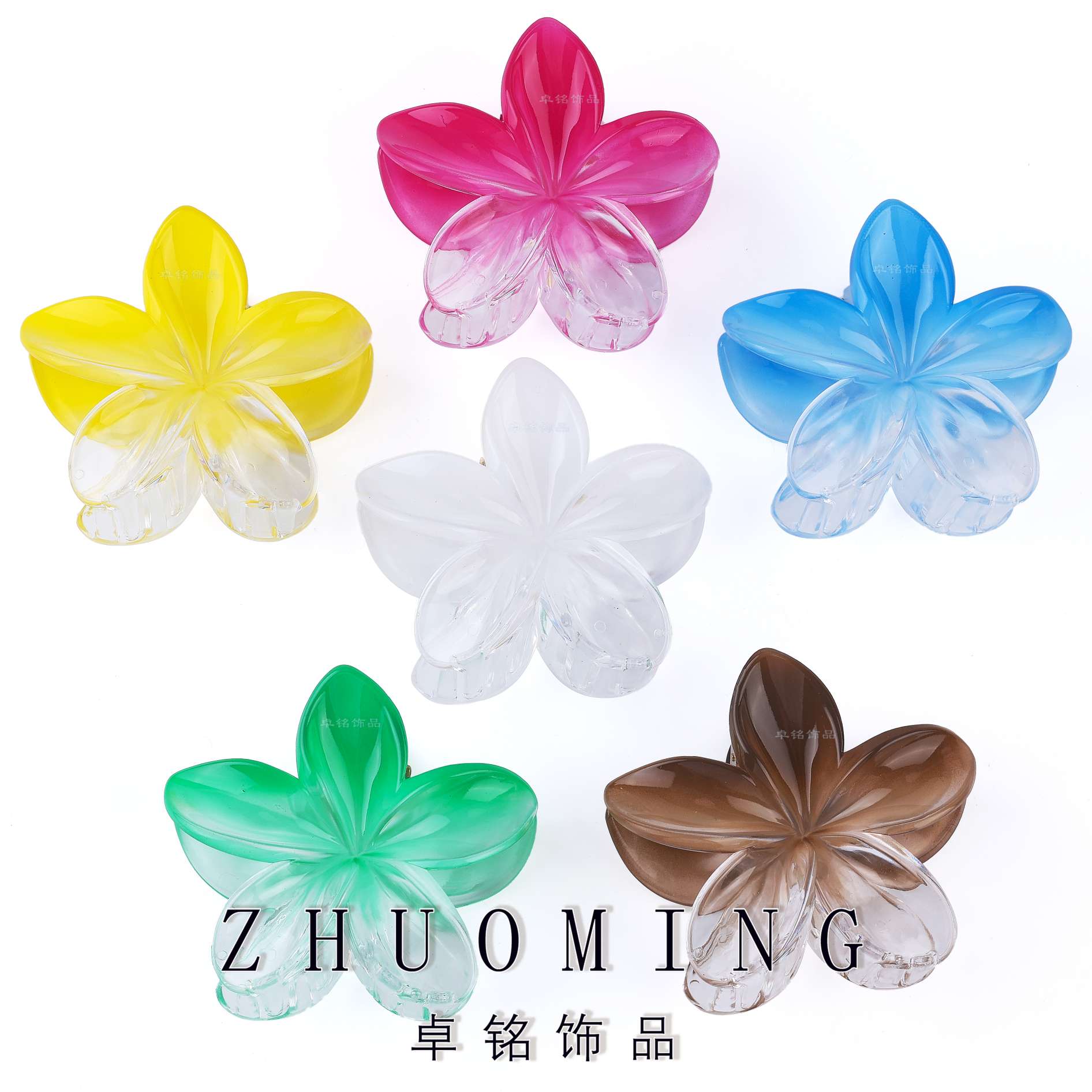 卓铭 新款欧美跨境网红透明渐变鸡蛋花发夹爆款海边度假抓夹盘发
鲨鱼夹发饰厂家批发