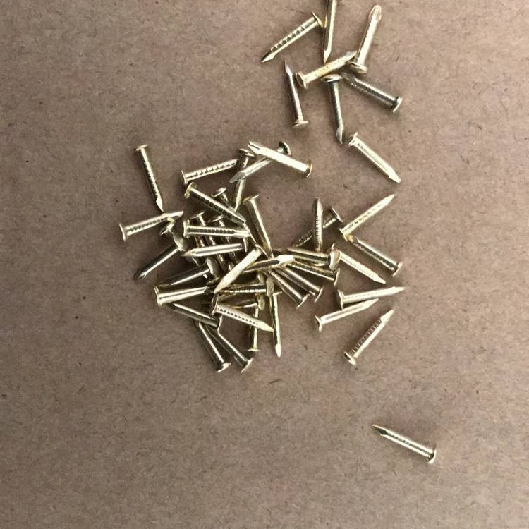 Round head nails, wooden box nails, photo frame accessories, signs, small nails, furniture hinges, copper-plated nails, gold Application Scenario