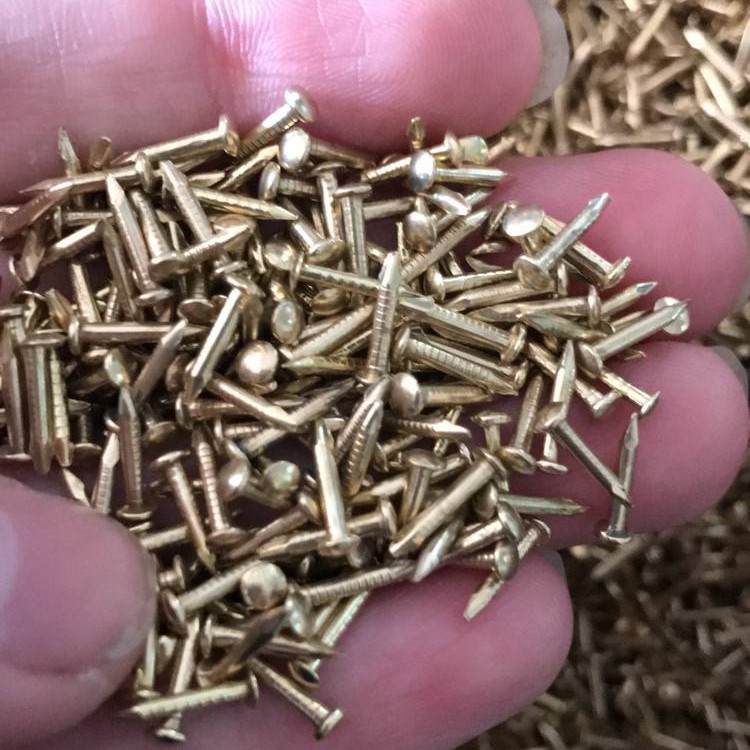 Round head nails, wooden box nails, photo frame accessories, signs, small nails, furniture hinges, copper-plated nails, gold Specification drawing