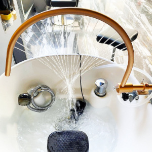 The cross-border adjustable water circulation flushing head ceramic basin is equipped with a bent pipe head therapy accessory and a convenient upgraded version of the flushing bed details Picture