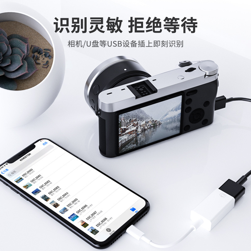 Suitable for Apple otg adapter, iphone external USB flash drive, lightning mouse and keyboard OTG conversion cable details Picture