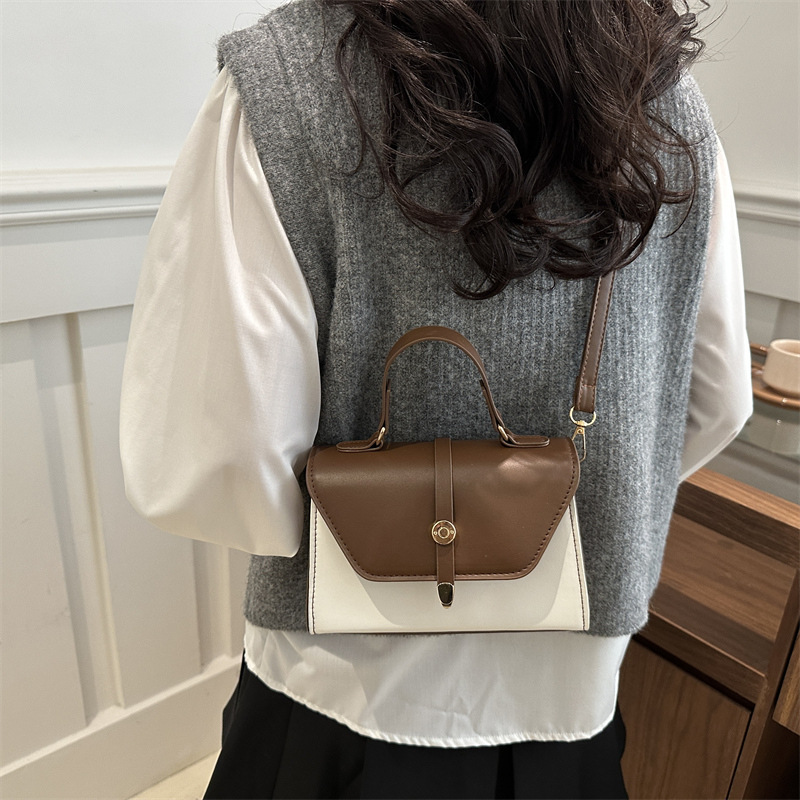 New women's bag for 2025 Spring/Summer, single-shoulder crossbody bag, retro commuting fashion, versatile hand-held small square bag details Picture