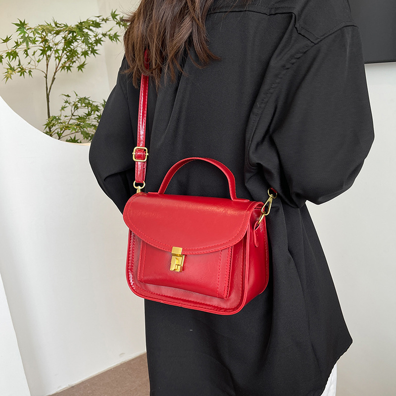Cross-border Women's Bag 2025 New retro small square bag, fashionable and versatile crossbody single-shoulder bag, high-end hand-held women's bag details Picture