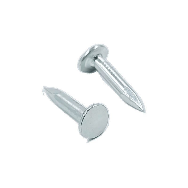 Galvanized large cap nails 2025, white large head nails, asphalt tile nails, felt nails, cement steel nails, round steel nails cross-border manufacturer Item Picture