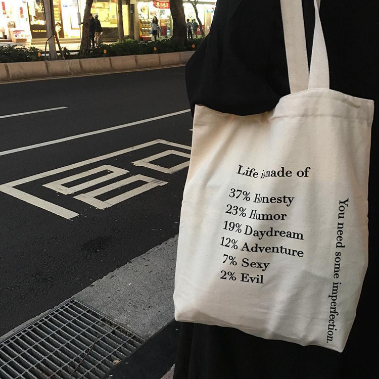 Wholesale of new E57 canvas single-shoulder bags of the same style as those on Korean Instagram, canvas bags for women, hand-held shopping bags for students full figure