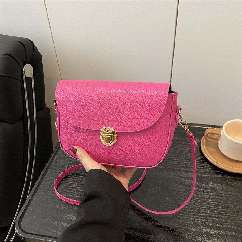 The high-end small bag 2025 new style, niche design, fashionable and versatile, single-shoulder crossbody saddle bag, cross-border trend full figure