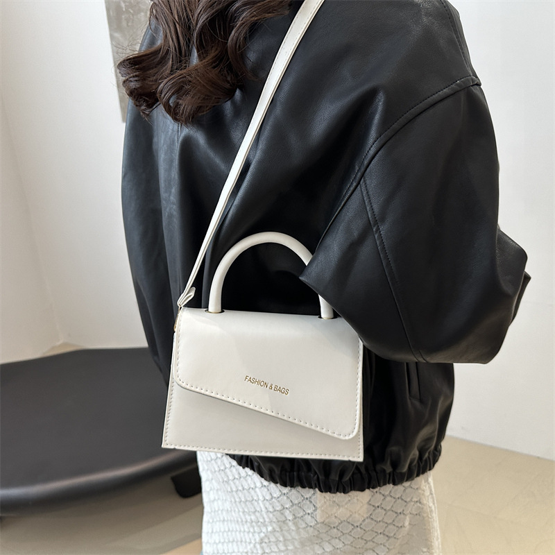 Cross-border retro small bag for women, 2024 new style fashionable winter single-shoulder crossbody bag, high-end ladies' hand-held small square bag details Picture