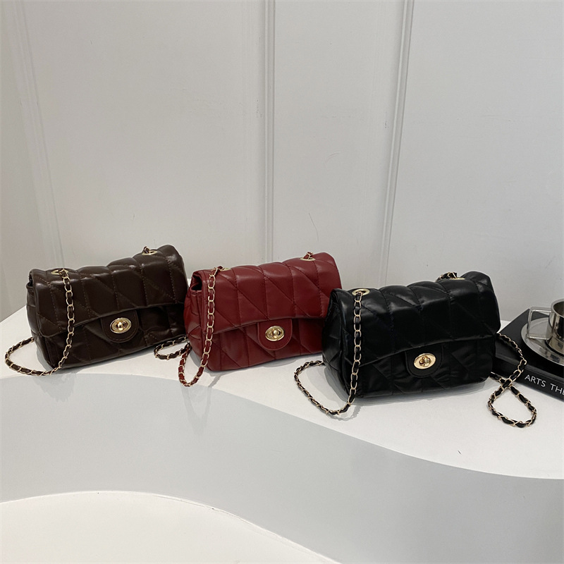 The new popular single-shoulder small square bag for 2024 winter, a retro chain crossbody bag, is trendy and fashionable, versatile and easy to carry for women Application Scenario