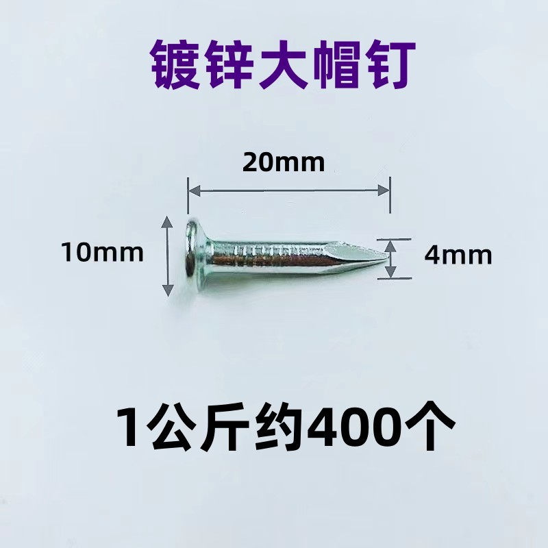 Galvanized large cap nails 2025, white large head nails, asphalt tile nails, felt nails, cement steel nails, round steel nails cross-border manufacturer details Picture