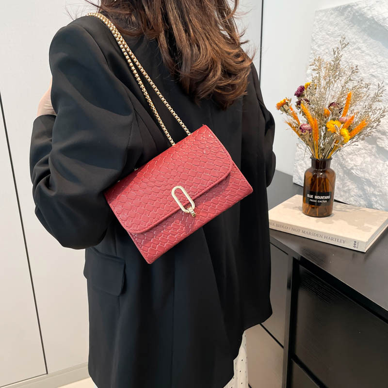 High-end quality commuter bag for women 2025 Spring New style fashion chain small square bag solid color simple and versatile women's bag details Picture