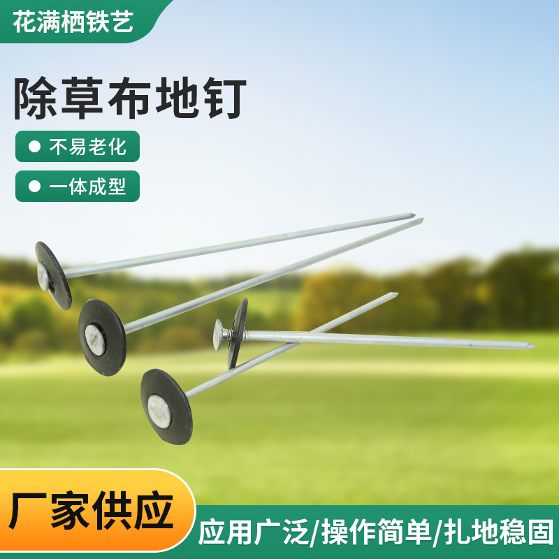 Galvanized lawn nails, weeding cloth ground nails, cross-border greenhouse plastic film shading net fixed nails, garden ground cloth nails full figure