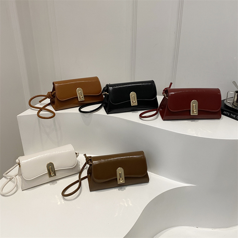 This year, a new, fashionable and retro crossbody bag for women's winter 2024 is in vogue. It's a single-shoulder small square bag for commuting Application Scenario