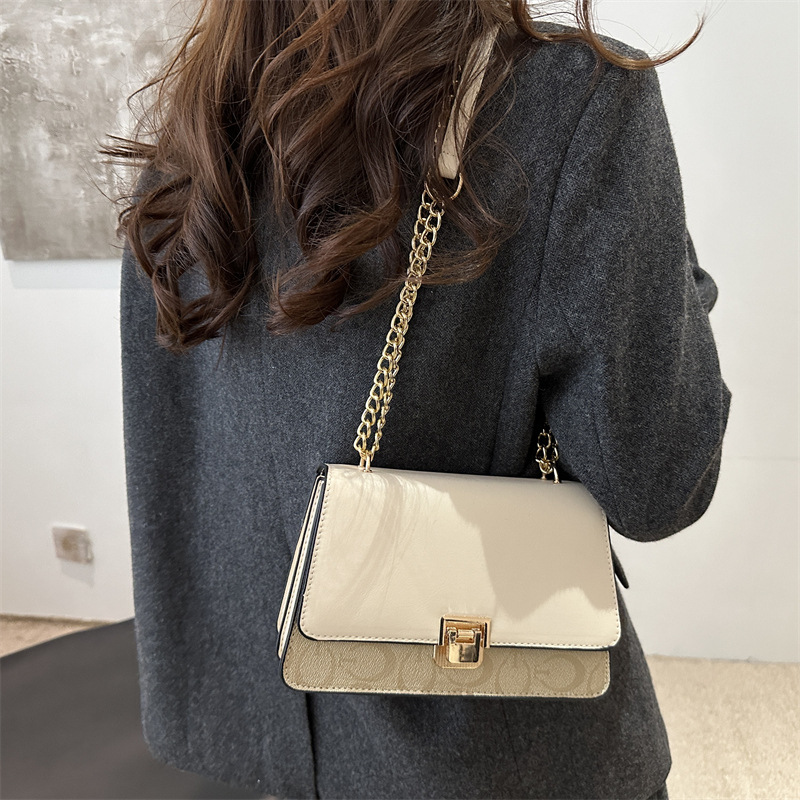 A new style of fashionable lock buckle monogram 2025 casual and simple chain single-shoulder crossbody hand-carry small square bag for women details Picture