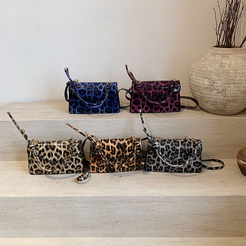 This year's popular handbag is the 2025 new stylish and versatile crossbody bag for women, an Instagram-worthy and high-quality single-shoulder handbag Application Scenario