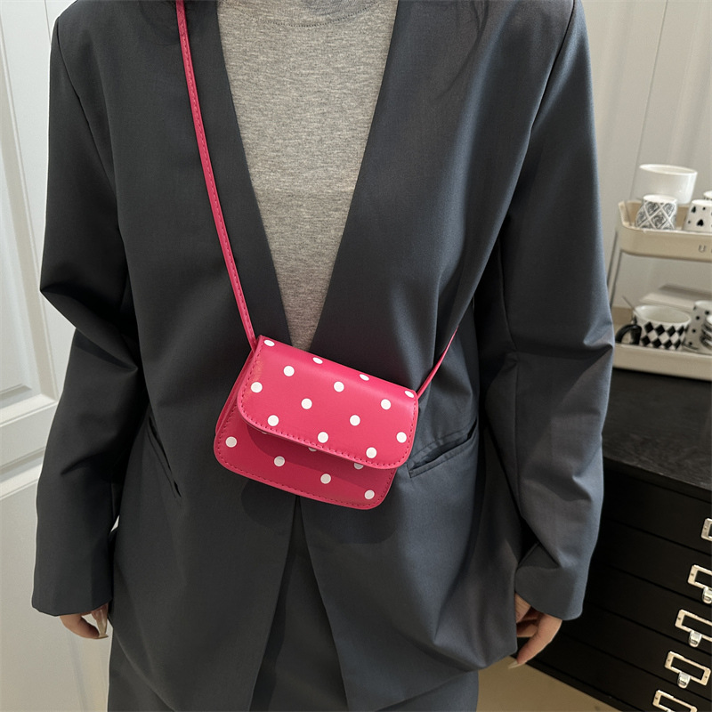 The 2025 Spring new style of fashionable polka dot, elegant and stylish mini single-shoulder bag, high-end texture, sweet and elegant crossbody bag details Picture