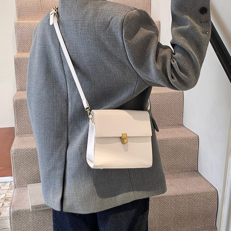 Spring French niche women's bags, 2025 new trendy commuter bag, crossbody bag, versatile women's ins small single-shoulder bag details Picture