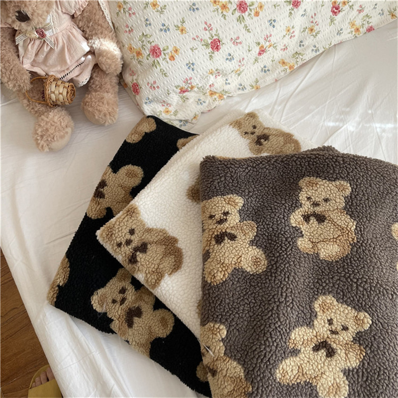 ins Korean style cute plush thickened full-body bear double-sided lamb plush nap blanket, air conditioning blanket, knee blanket details Picture