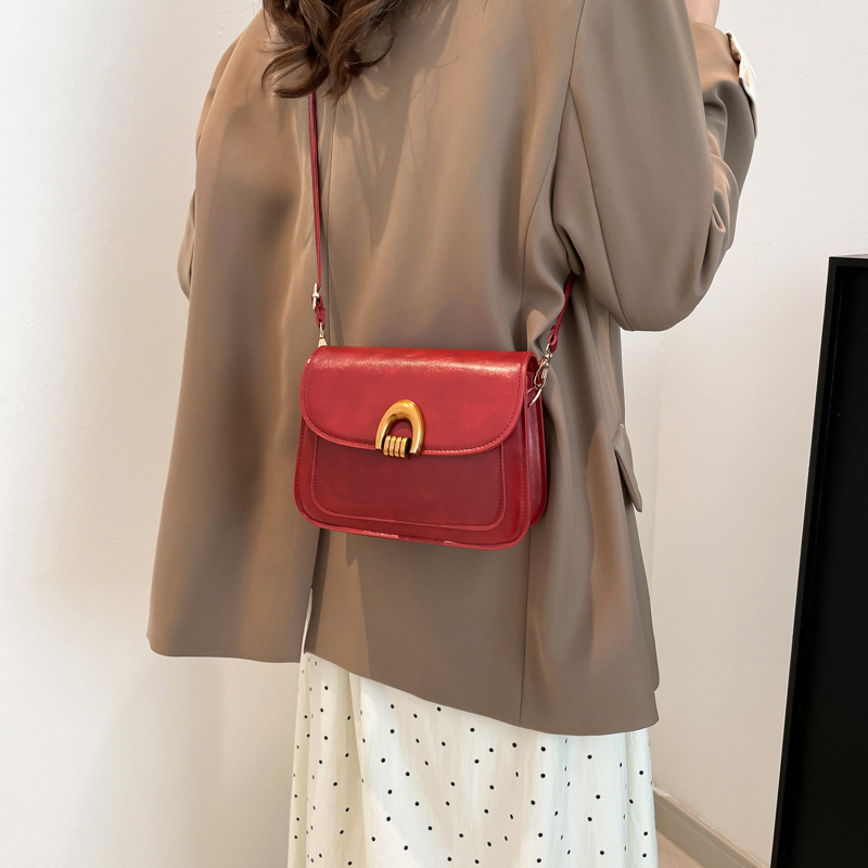 Korean-style quality crossbody bag for women, new Spring 2025 casual commuting single-shoulder bag, fashionable and trendy hand-held saddle bag Specification drawing
