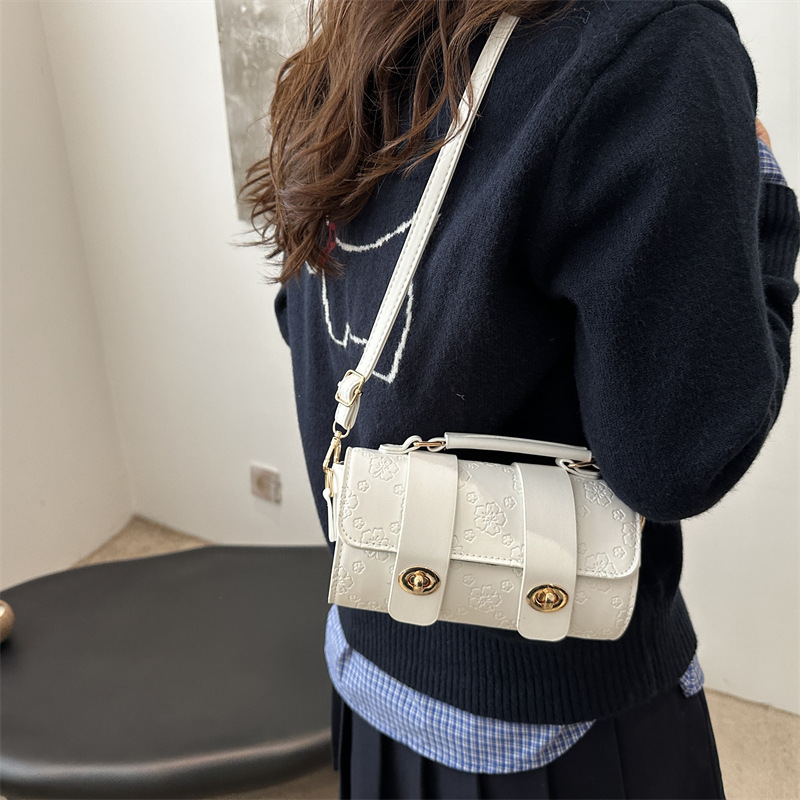 2024 New winter stylish embossed cartoon French niche hand-held pillow bag, versatile single-shoulder bag and crossbody bag for women details Picture