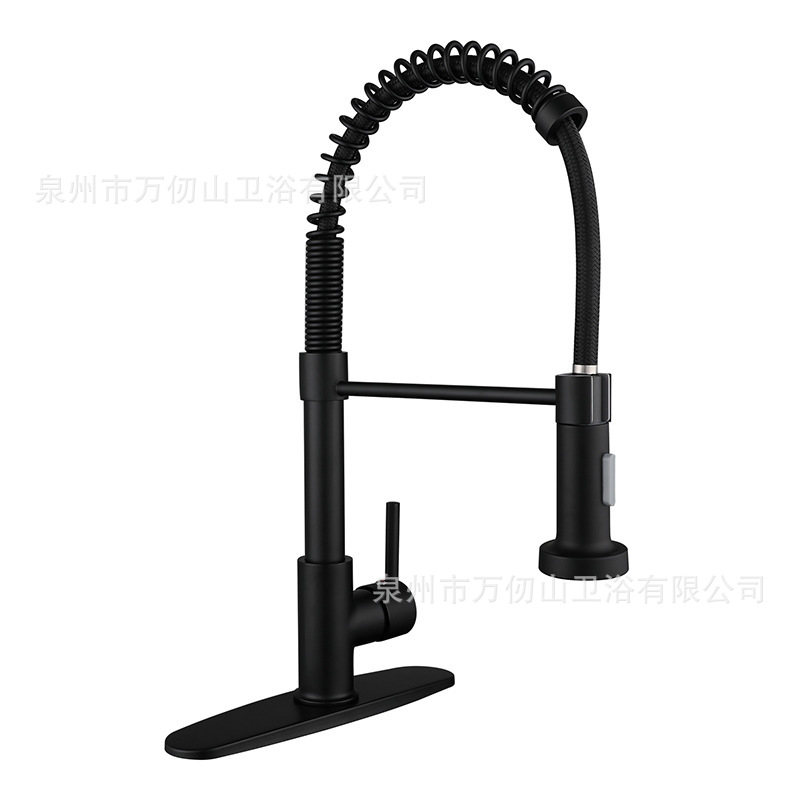Cross-border 304 stainless steel spring pull-out faucet, kitchen dual-purpose pull-out cold and hot rotating sink, washbasin telescopic dragon Item Picture