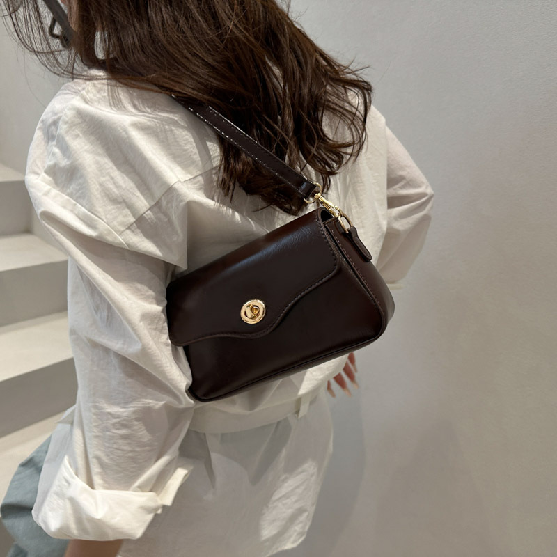 Cross-border high-end, stylish and stylish small bag for women, 2025 new versatile ins single-shoulder crossbody bag, fashionable underarm bag Specification drawing