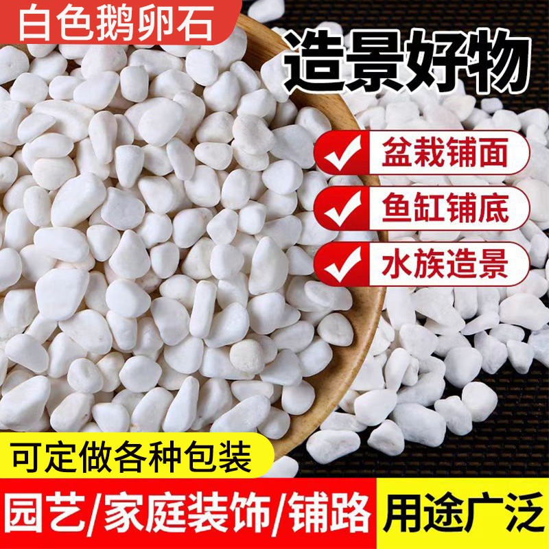 The manufacturer supplies white pebble landscape paving and landscaping, white gravel, dry landscape landscaping, white pebbles and washed stones full figure