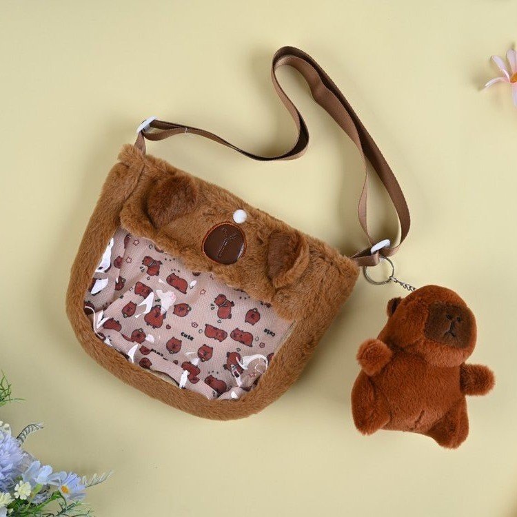 New Japanese-style cute Sanrio plush bag, transparent PVC crossbody bag, children's cartoon cute pendant, loose change details Picture